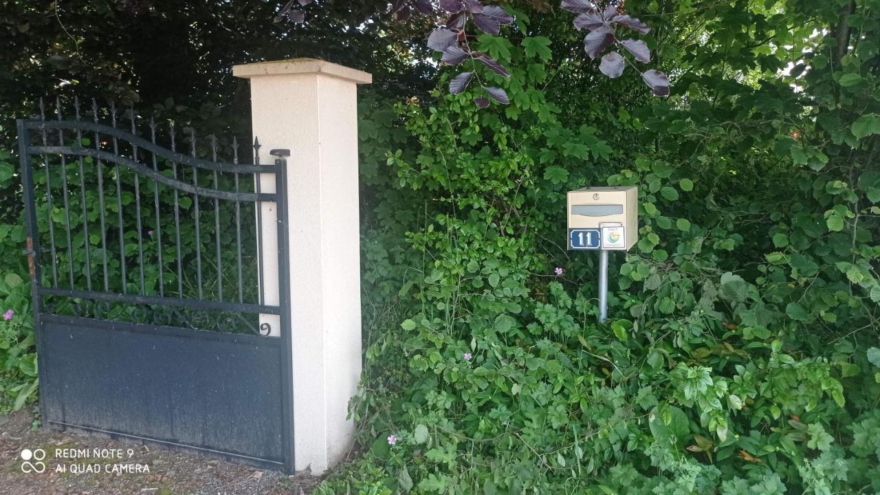 La Bella 12 - Appartement Gite Dans Maison D'Hotes Bordeaux-Saint-Clair Exteriör bild